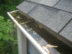 Gutter Cleaning Services in Aberdeenshire